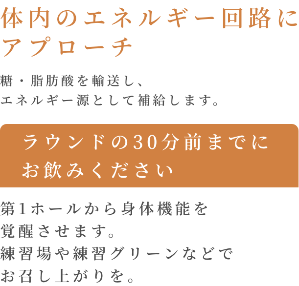 体内のエネルギー回路にアプローチ 糖・脂肪酸を輸送し、エネルギー源として補給します。 ラウンドの30分前までにお飲みください 第1ホールから身体機能を覚醒させます。 練習場や練習グリーンなどでお召し上がりを。